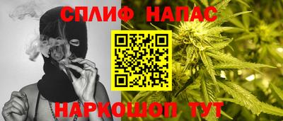 гашик Донской