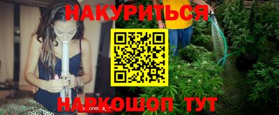 гашик Донской