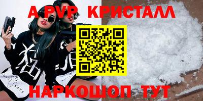 гашик Донской